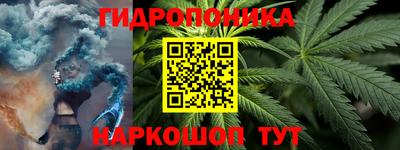 шишки Аргун