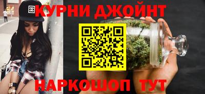 шишки Аргун
