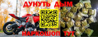 шишки Аргун