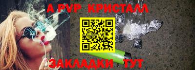 шишки Аргун