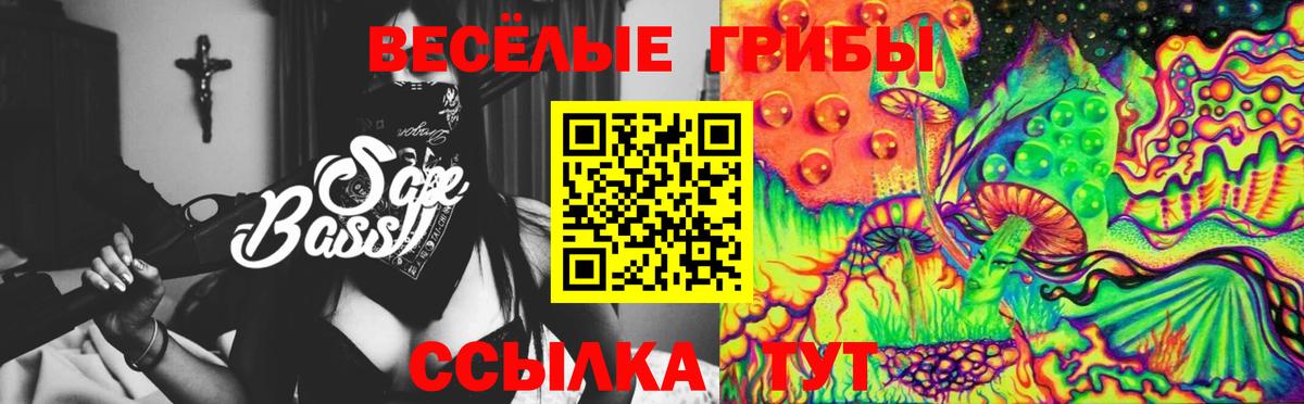 Псилоцибиновые грибы Psilocybine cubensis  Вход с VPN  Бийск 